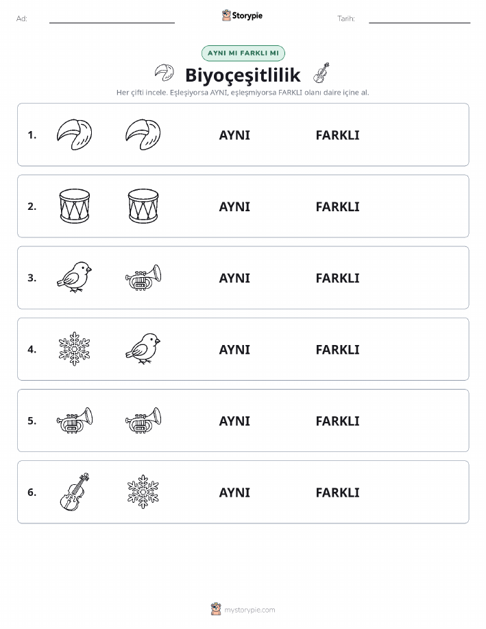 Aynı mı Farklı mı