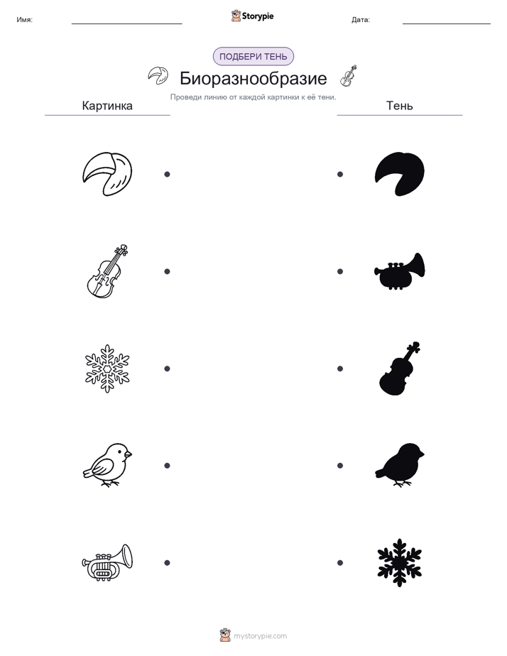 Сопоставление теней