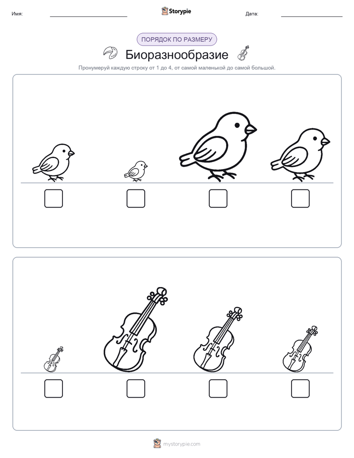 Размеры в порядке