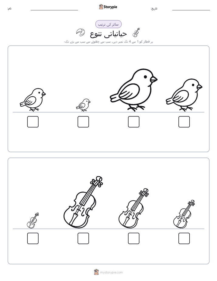 سائز کی ترتیب