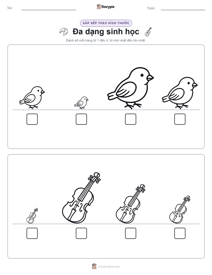 Thứ Tự Kích Thước