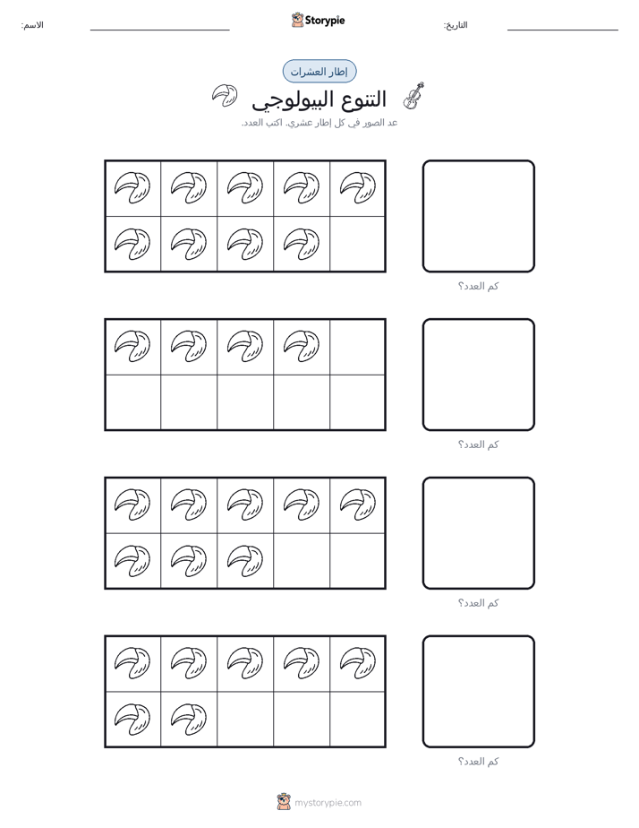 إطار العشرة