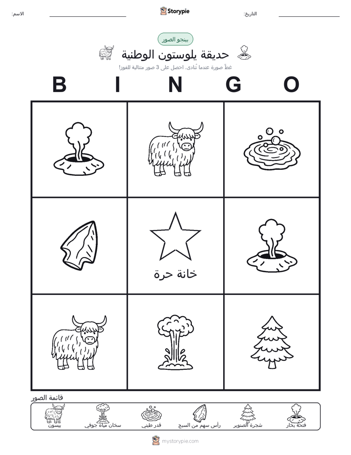 بينغو الصور
