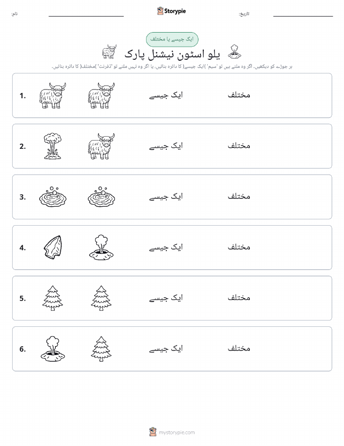 ایک جیسا یا مختلف