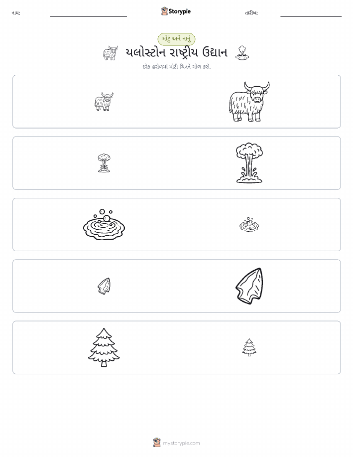 વર્ગીકરણ