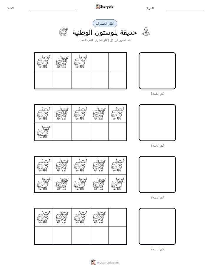 إطار العشرة