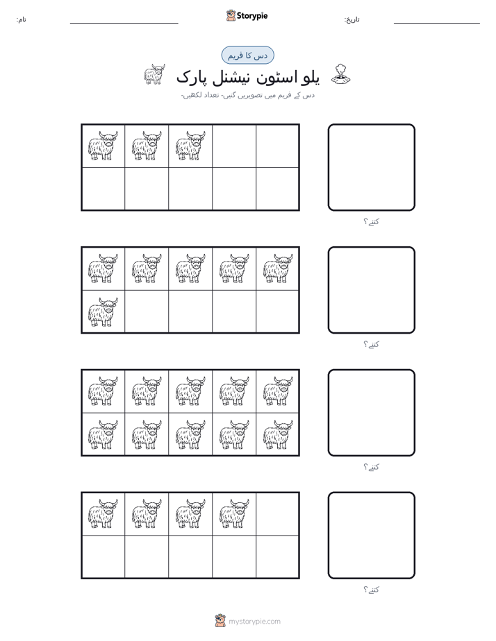 دس کا فریم