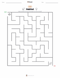 Habitat printable worksheet preview