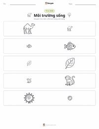 Xem trước tài liệu in sẵn Môi trường sống