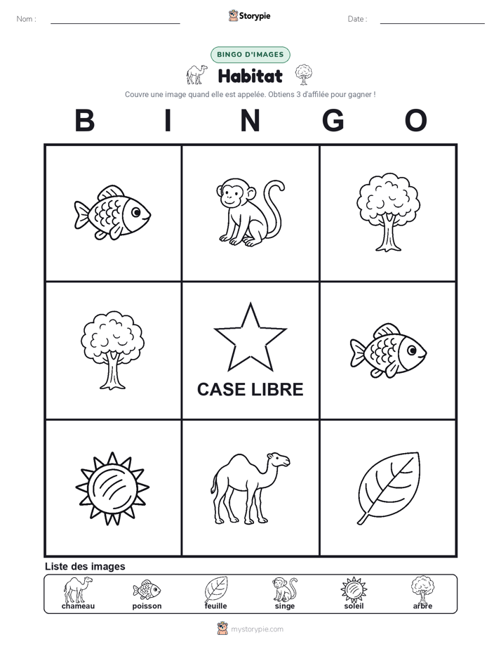 Bingo d'Images