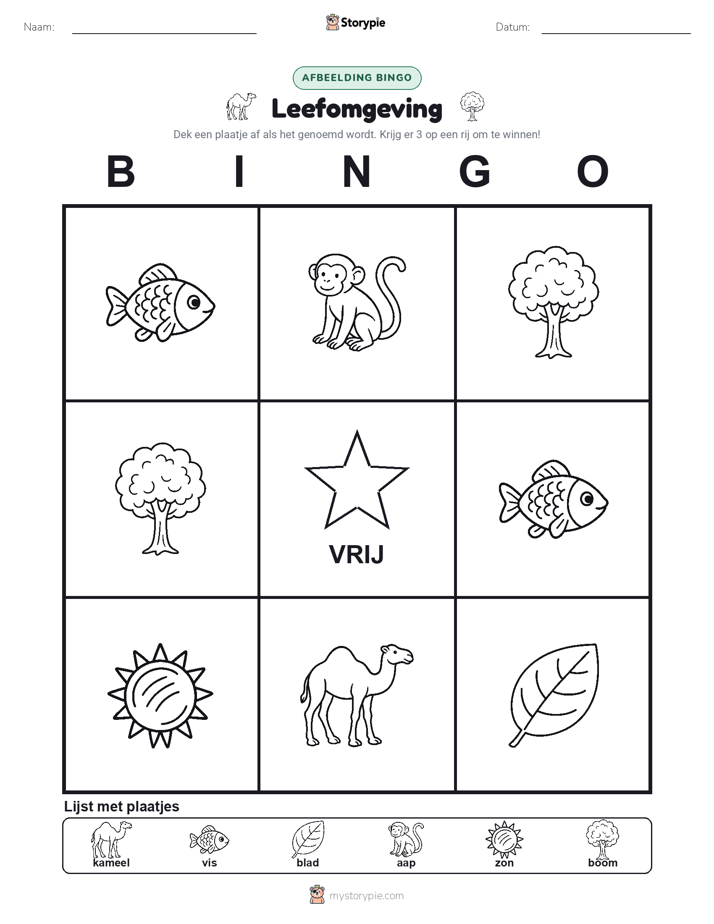 Afbeelding Bingo