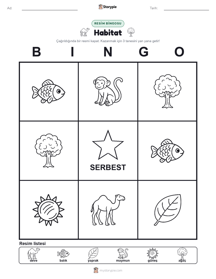 Resim Bingo