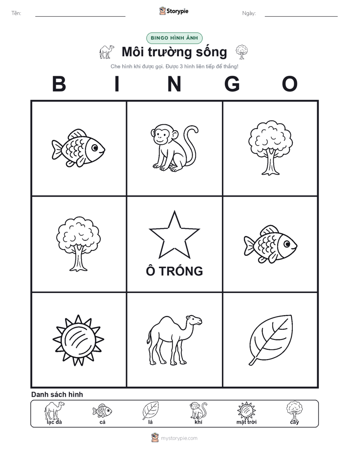 Bingo Hình Ảnh
