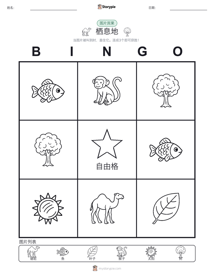 图片宾果