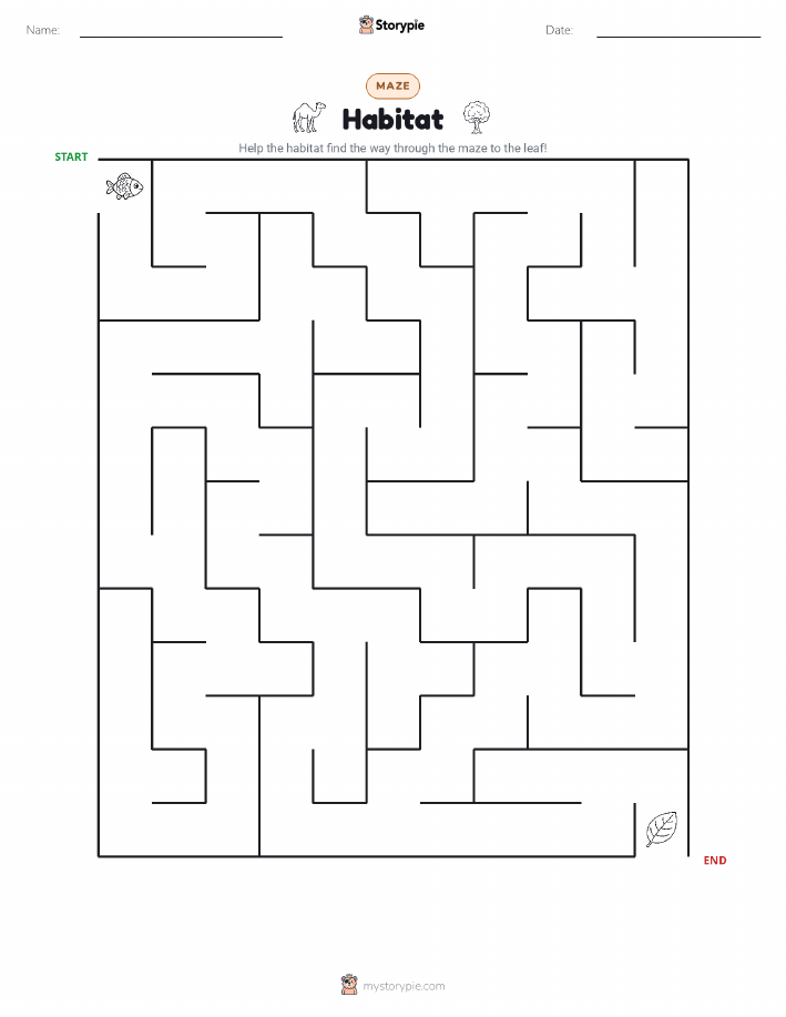 Maze