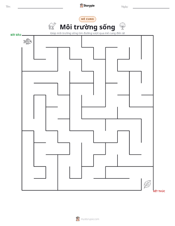 Mê Cung