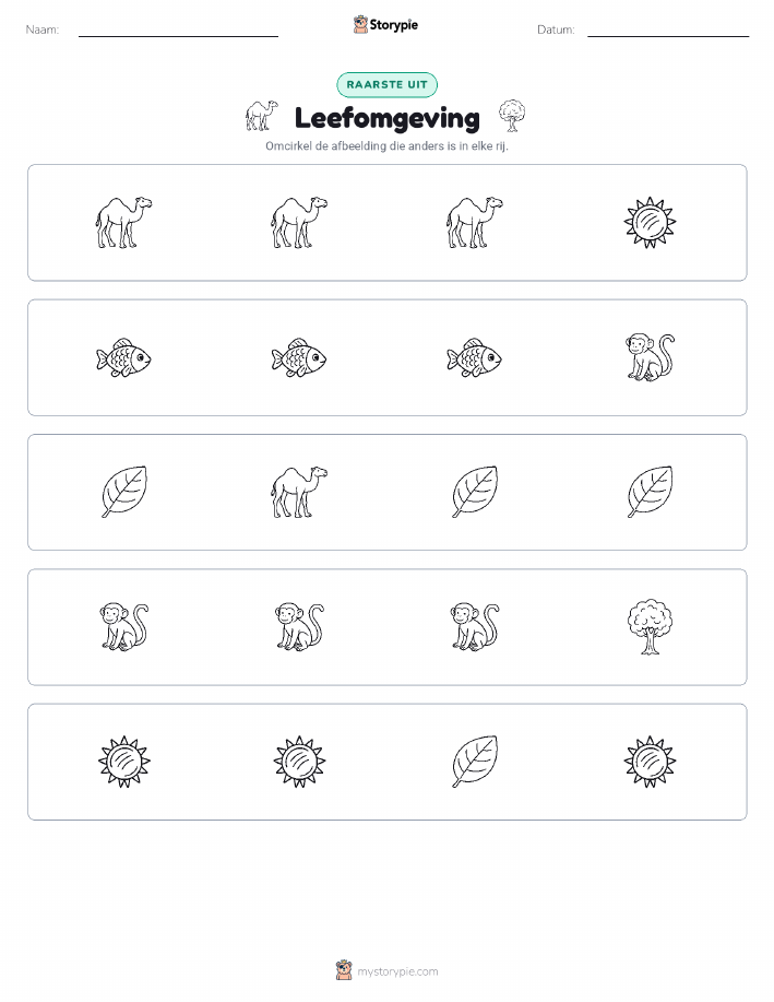 Vreemde Tussenuit