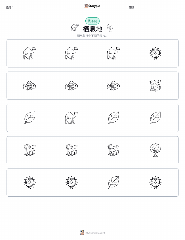 找不同