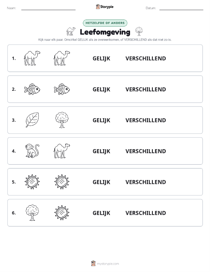 Zelfde of Verschillend