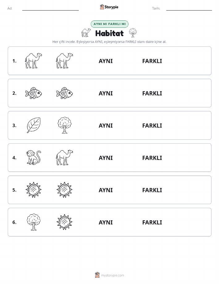 Aynı mı Farklı mı