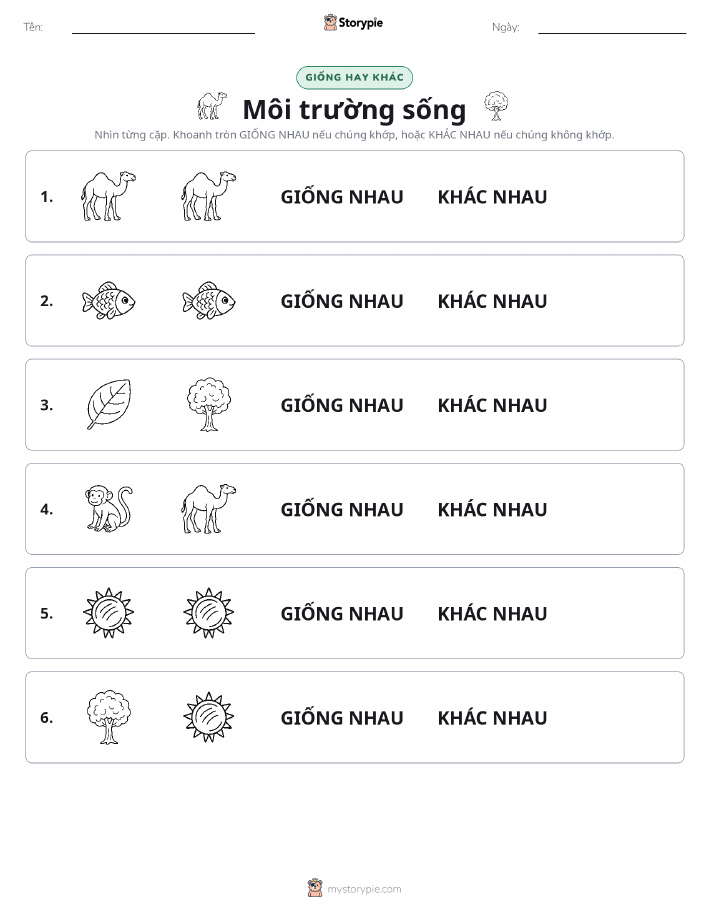 Giống Hay Khác