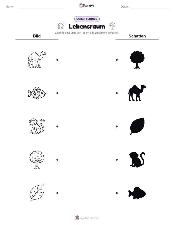 Schattenmatch