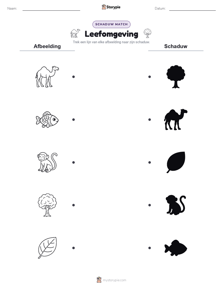 Schaduw Match