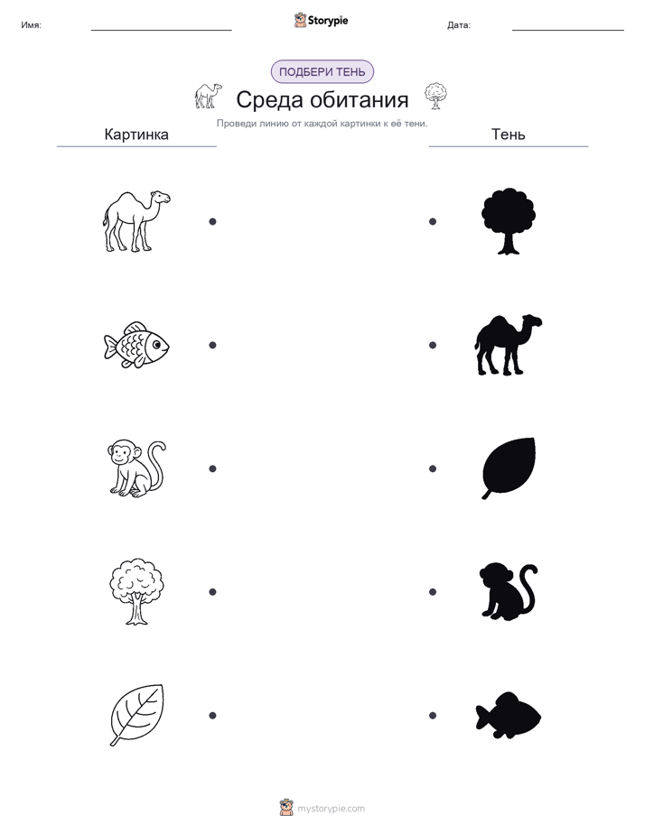 Сопоставление теней