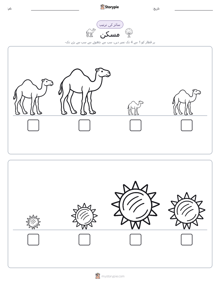 سائز کی ترتیب
