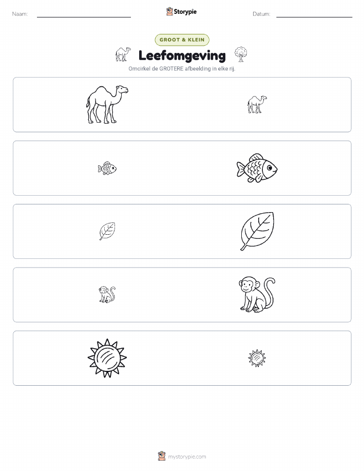 Sorteren