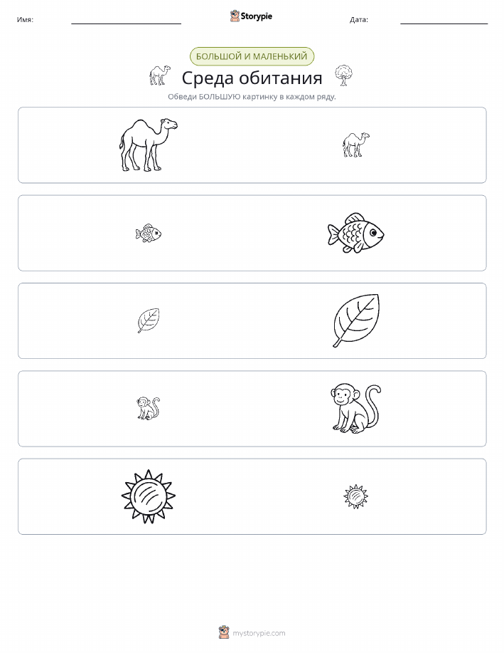 Сортировка