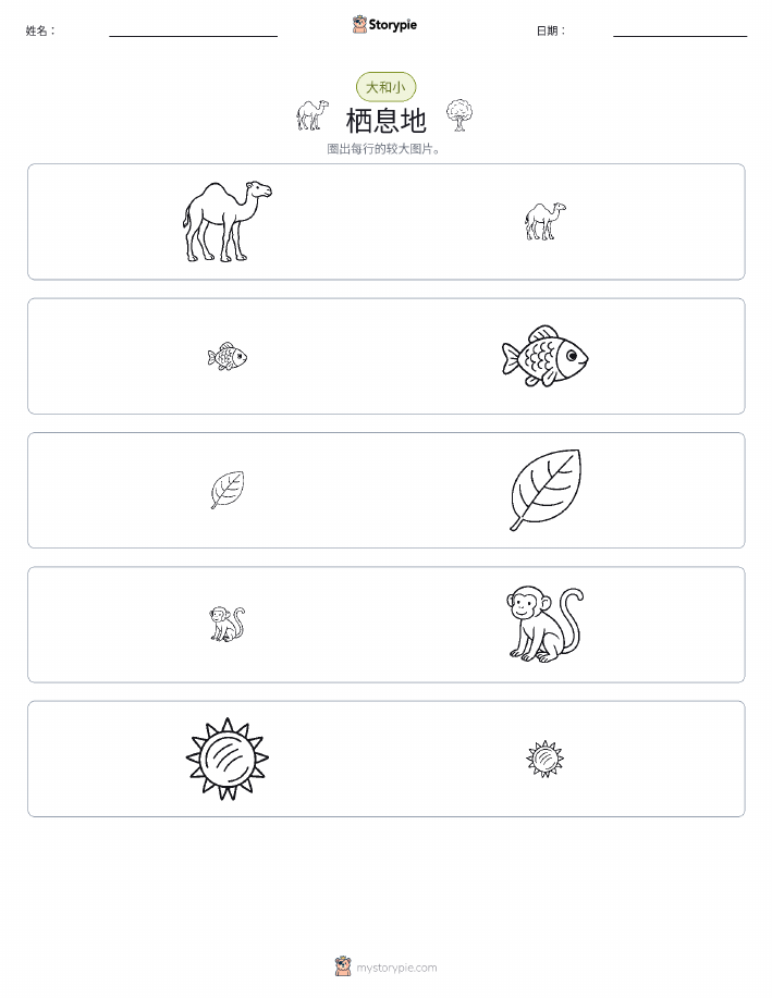 分类