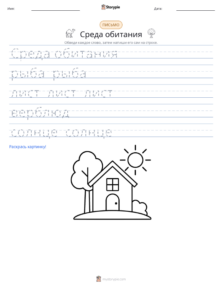 Практика письма