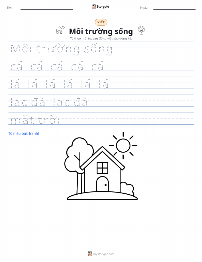 Luyện Viết