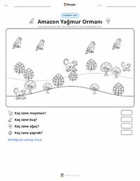 Amazon Yağmur Ormanları yazdırılabilir çalışma sayfası önizlemesi