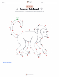 Amazon Rainforest printable worksheet preview