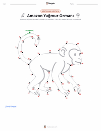 Amazon Yağmur Ormanları yazdırılabilir çalışma sayfası önizlemesi