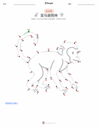 亚马逊雨林 可打印工作表预览