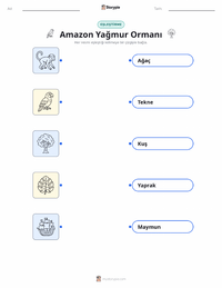 Amazon Yağmur Ormanları çocuklar için yazdırılabilir çalışma sayfası