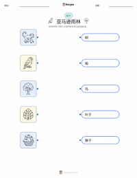 亚马逊雨林 可打印工作表预览