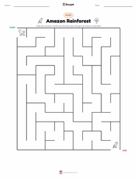 Amazon Rainforest printable worksheet preview