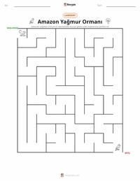 Amazon Yağmur Ormanları yazdırılabilir çalışma sayfası önizlemesi