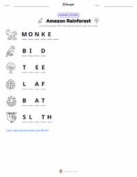 Amazon Rainforest printable worksheet preview