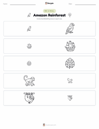 Amazon Rainforest printable worksheet preview