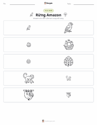 Xem trước tài liệu in sẵn Rừng mưa Amazon