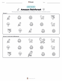 Amazon Rainforest printable worksheet preview