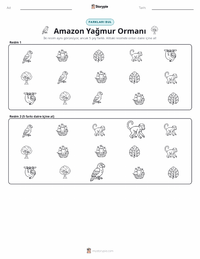 Amazon Yağmur Ormanları yazdırılabilir çalışma sayfası önizlemesi