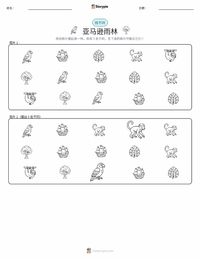 亚马逊雨林 可打印工作表预览