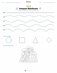 Amazon Rainforest printable worksheet preview