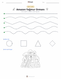 Amazon Yağmur Ormanları yazdırılabilir çalışma sayfası önizlemesi